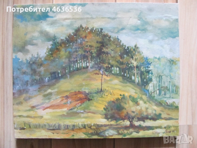 Красива Картина масло, платно , подпис, 50х40см., снимка 7 - Картини - 52573406