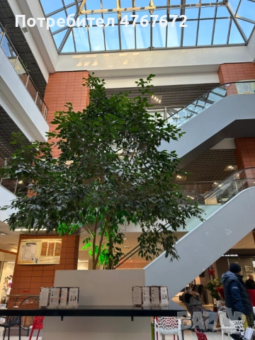 Обзаведен офис под наем в центъра на Пловдив, снимка 9 - Офиси - 53860888