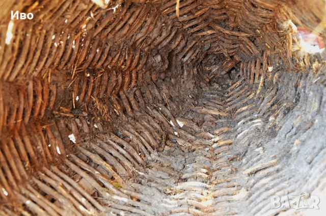 Стара, голяма тръвна за декорация, снимка 11 - Градински мебели, декорация  - 53815443