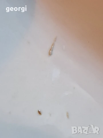 Стара българска порцеланова купа    26/2, снимка 6 - Аксесоари за кухня - 50637265