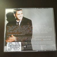 Michael Bublé ‎– Crazy Love (Hollywood Edition) 2010 CD, Album Двоен диск, снимка 3 - CD дискове - 45573965