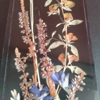 Картина със сухи растения DINA Super-LS Brillant Nr. 1725 25х7см, снимка 7 - Колекции - 45191739