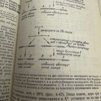 Имунология -ЛеройЕ.Худ, снимка 9 - Специализирана литература - 45286619