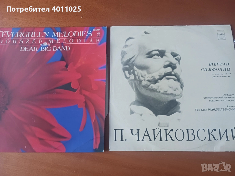 Лот 15  грамофонни плочи с класика, снимка 1