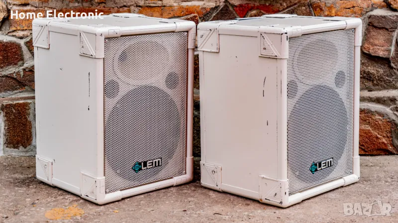 Професионални Тонколони LEM 10-инча , снимка 1