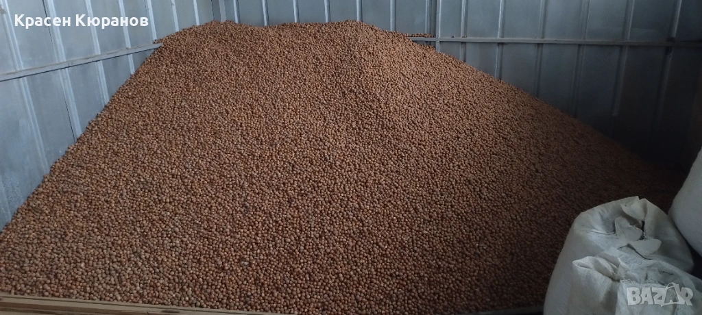 Продавам лешници , снимка 1