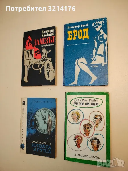 Брод - Димитър Вълев, снимка 1