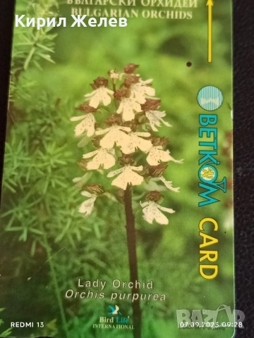 Две фонокарти серия ЦВЕТЯ ОРХИДЕЯ редки за КОЛЕКЦИЯ ДЕКОРАЦИЯ 48658, снимка 6 - Колекции - 51630439