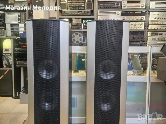 Тонколони Bohlender Graebener Radia X3 – Екзотични рибонни тонколони, (Налични 2 комплекта), снимка 3 - Тонколони - 54266732