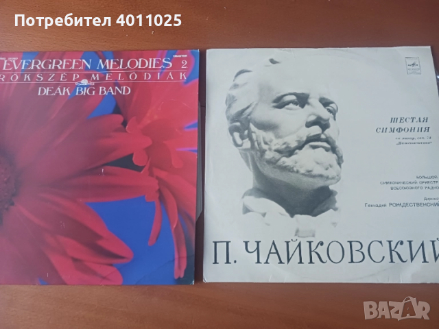 Лот 15  грамофонни плочи с класика, снимка 1