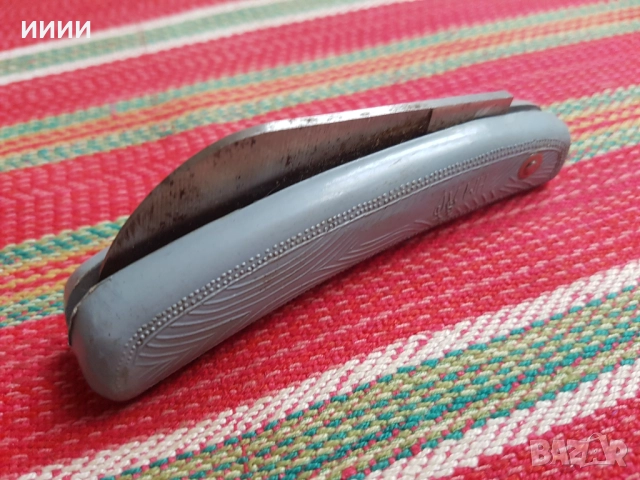 Ножка руска овощарска 