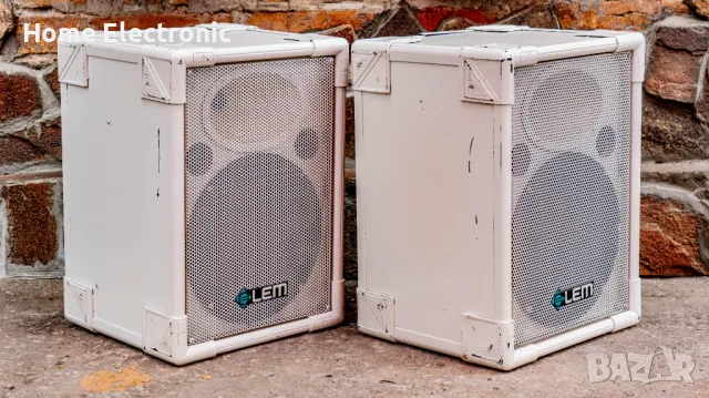 Професионални Тонколони LEM 10-инча , снимка 1