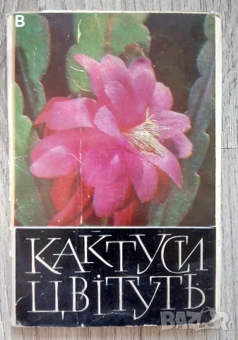 Комплект картички - Ермитаж, Цветя и Домашни птици, снимка 13 - Други - 36524858