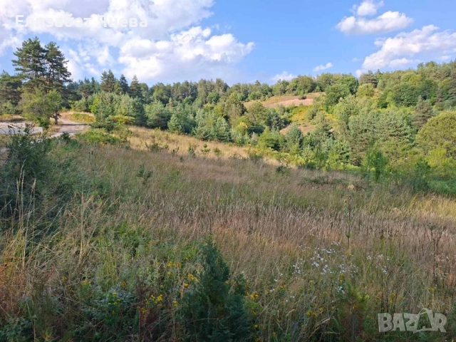 Предлагаме за продажба два парцела с. Мостово, сменен статут, ток и вода, снимка 7 - Парцели - 51446327