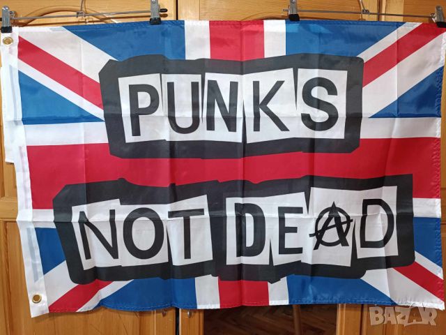 PUNKS NOT DEAD Flag, снимка 3 - Китари - 45964089