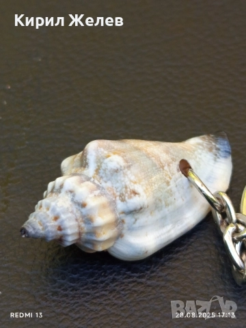 Ключодържател раковина красив спомен от морето 33260, снимка 4 - Други - 51525234