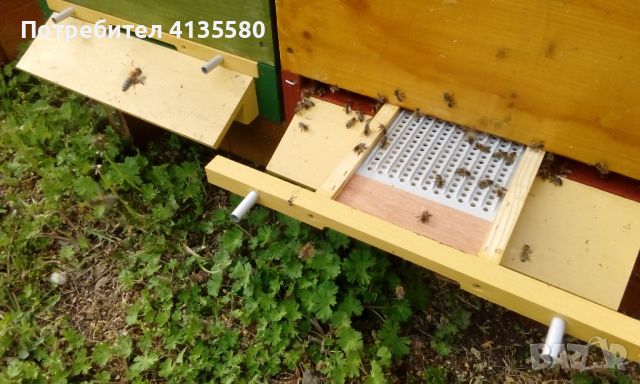Кошери-ДБ10ки, нови, за добив на прашец и клей, и подвижно пчеларство., снимка 12 - За пчели - 46276356