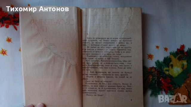 Петър Стъпов - Знаменосецът; Данко Димитров - В обсадения град, снимка 13 - Художествена литература - 44465034