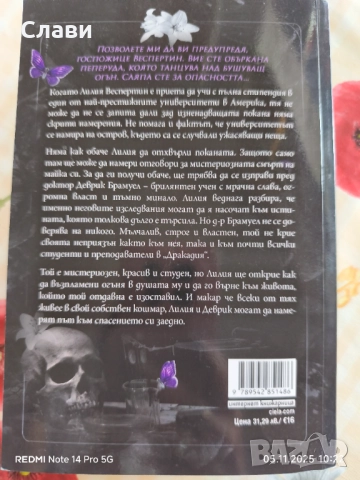 Ноктикадия , снимка 2 - Други - 52462677