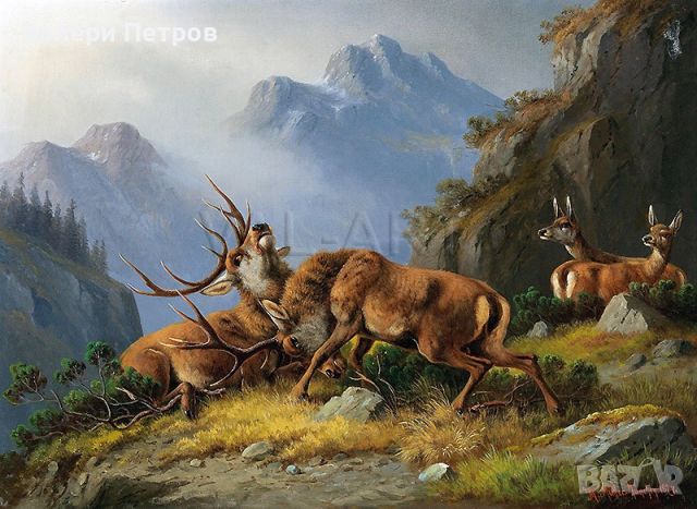 Репродукции на картини /ловни/ Мориц Мюлер (1841-1899), снимка 1 - Картини - 46022531