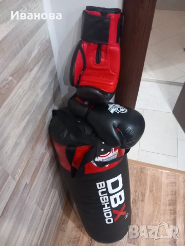 Боксова круша Нова, снимка 3 - Бокс - 53620638