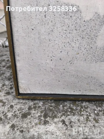 Картина проф. Стефан Алтъков , снимка 8 - Картини - 49830601