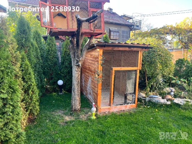 Воалери за Гълъби и папагали, снимка 2 - За птици - 52256025