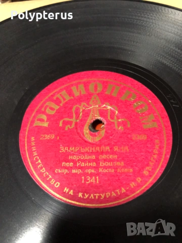 Стара българска шеллакова плоча, снимка 2 - Грамофонни плочи - 53533041