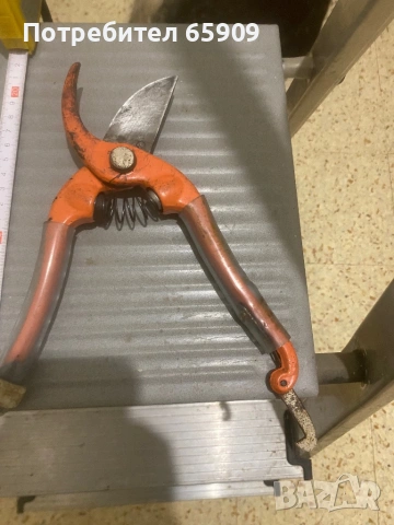 Лозарска ножица  