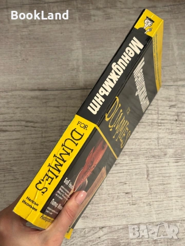 Мениджмънт for Dummies , снимка 2 - Други - 53564972