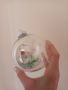 НОВА ръчно декорирана голяма стъклена топка 10см, Спиди, снимка 4
