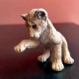 Колекционерска фигурка Schleich Lion лъв Germany 2007 14377, снимка 9