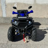 АТВ-ATV 250 cc с лебедка, снимка 13 - Мотоциклети и мототехника - 45113153