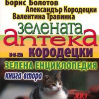 Златните рецепти на руските лечители. Книга 2: Зелената аптека на Кородецки, снимка 1 - Специализирана литература - 45554913
