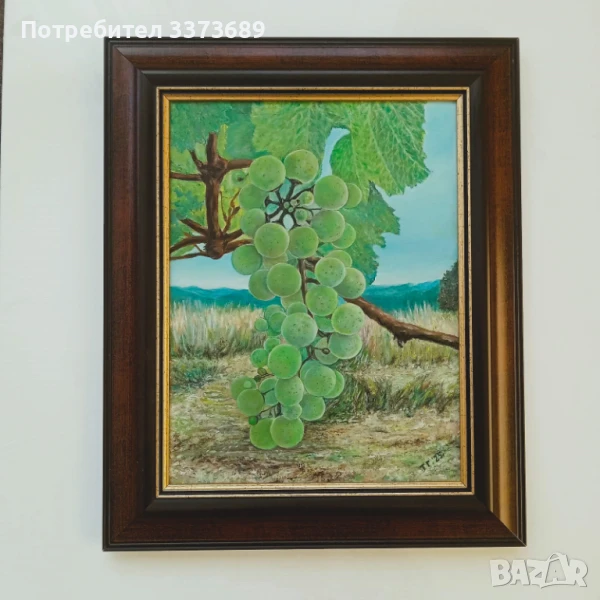 Пейзаж с грозде, снимка 1