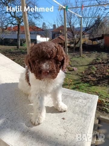 Лагото Романьоло, снимка 4 - Други - 52547291