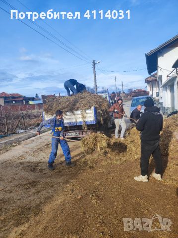 Хамалски и транспортни услуги , снимка 7 - Хамалски услуги - 45974573