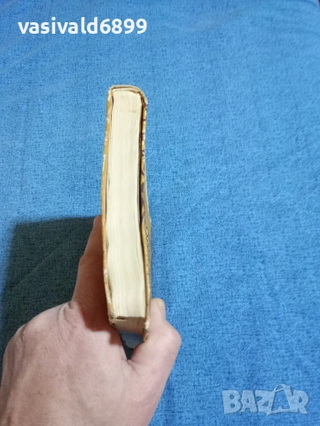 Иван Василев - Снежина , снимка 6 - Българска литература - 53297655