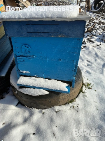 Кошери ДБ, снимка 2 - За пчели - 53129549