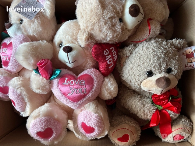 Плюшени мечета/Нови