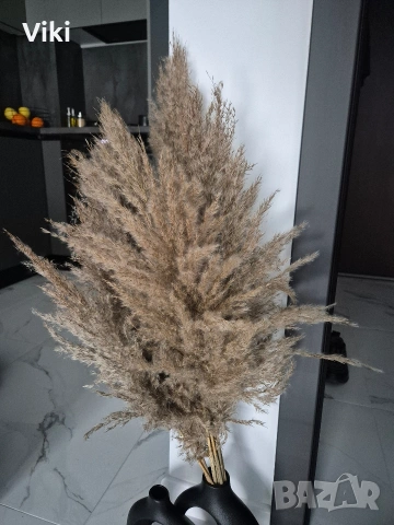 Чисто нов букет от естествена пампаска трева