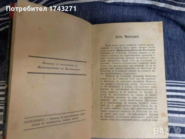 "Приключенията на Телемаха" Франсоа Фенелон 1873 г., снимка 5 - Антикварни и старинни предмети - 53067629
