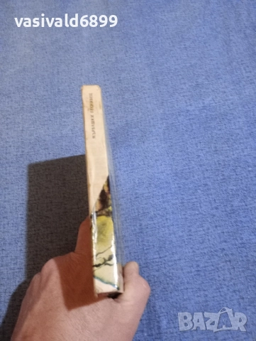 Валентин Караманчев - Мървашки песнивец , снимка 2 - Българска литература - 52515985