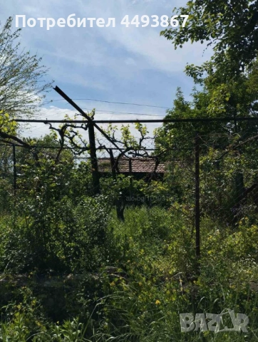 Къща с двор в с. Дамяново, на 17 км от Севлиево