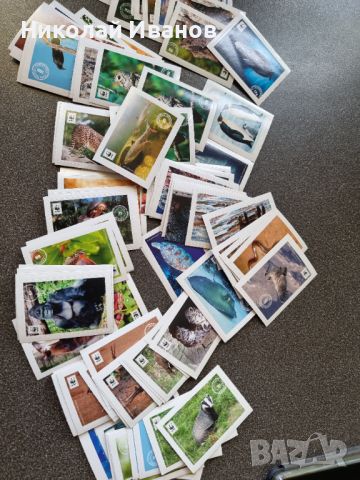 Колекция карти с животни, снимка 2 - Колекции - 45929812