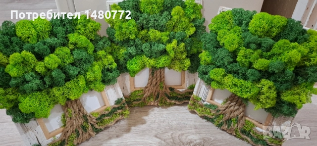 Дървото на живота със скандинавски мъх в рамка, снимка 10 - Пана - 48288866