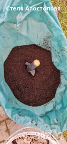 🌿 Силата на природата в чист вид – Биотор от Калифорнийски Червей 🌿