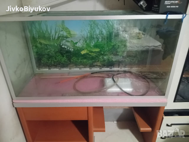 Продавам аквариум със шкаф . Има минимални следи от употреба., снимка 2 - Аквариуми - 44976851