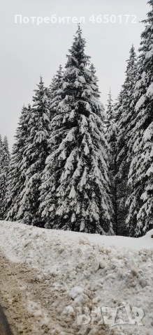 Апартамен за гости Милена, снимка 13 - Апартаменти - 52403589