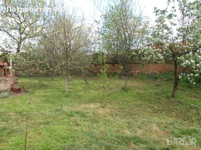 Дава под Наем КЪЩА 200 € / месец, снимка 3 - Къщи - 52676706